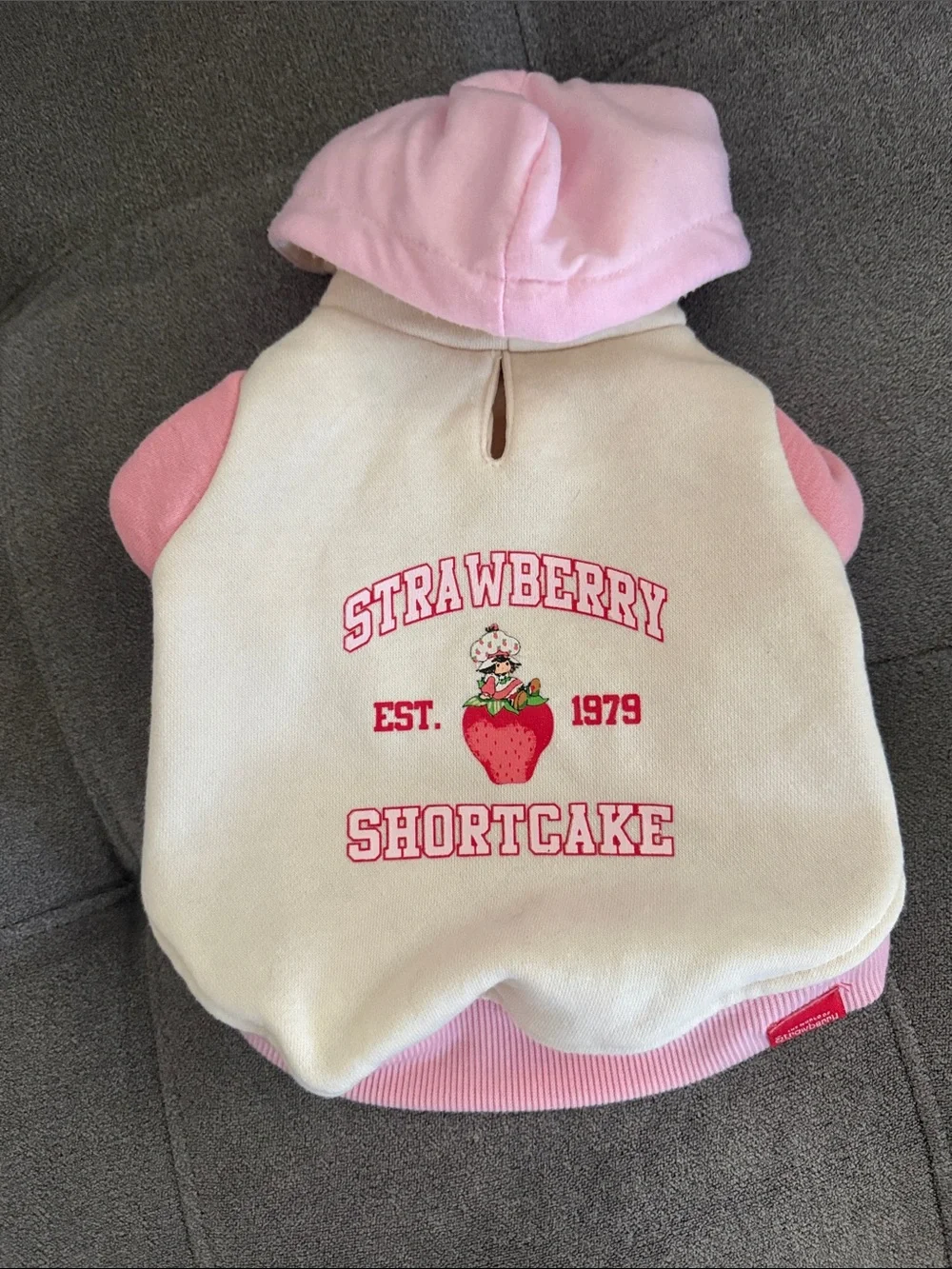 Strawberry Shortcake Cream & Pink Dog Hoodie